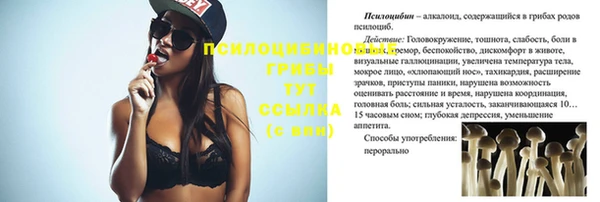 прущие крисы Майский